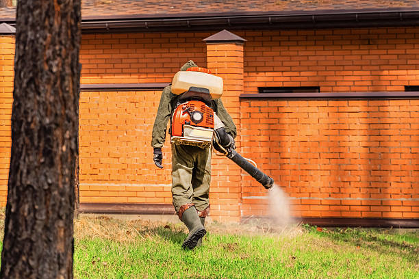 Bed Bug Clearance Verification and Documentation in Travis Ranch